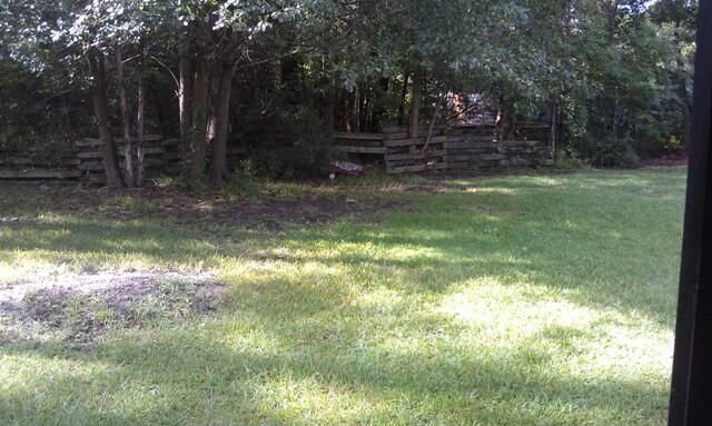 110 Pintail Drive Photo 4