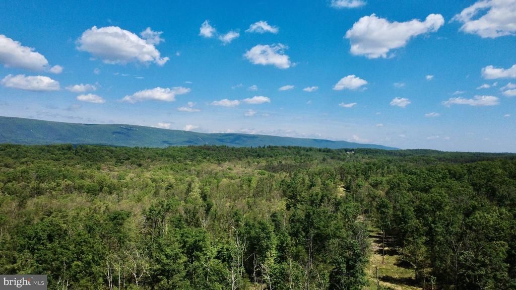 152.44 Acres Lot 2 Laurel Grove Road, Winchester, VA 22602 Main Photo