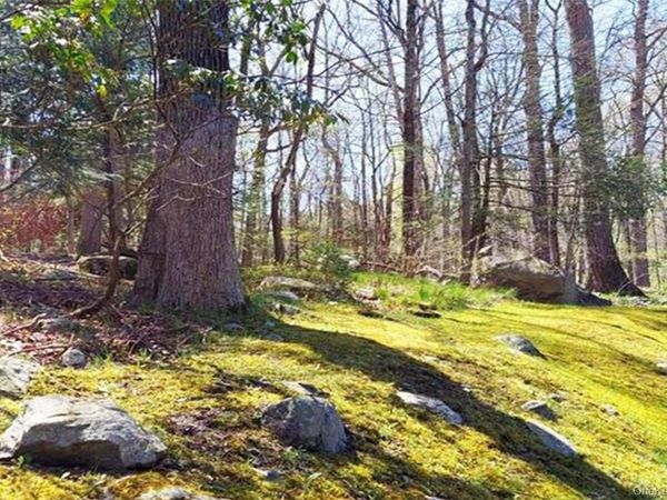 Pine Road & Pepperidge Road, Tuxedo Park, NY 10987