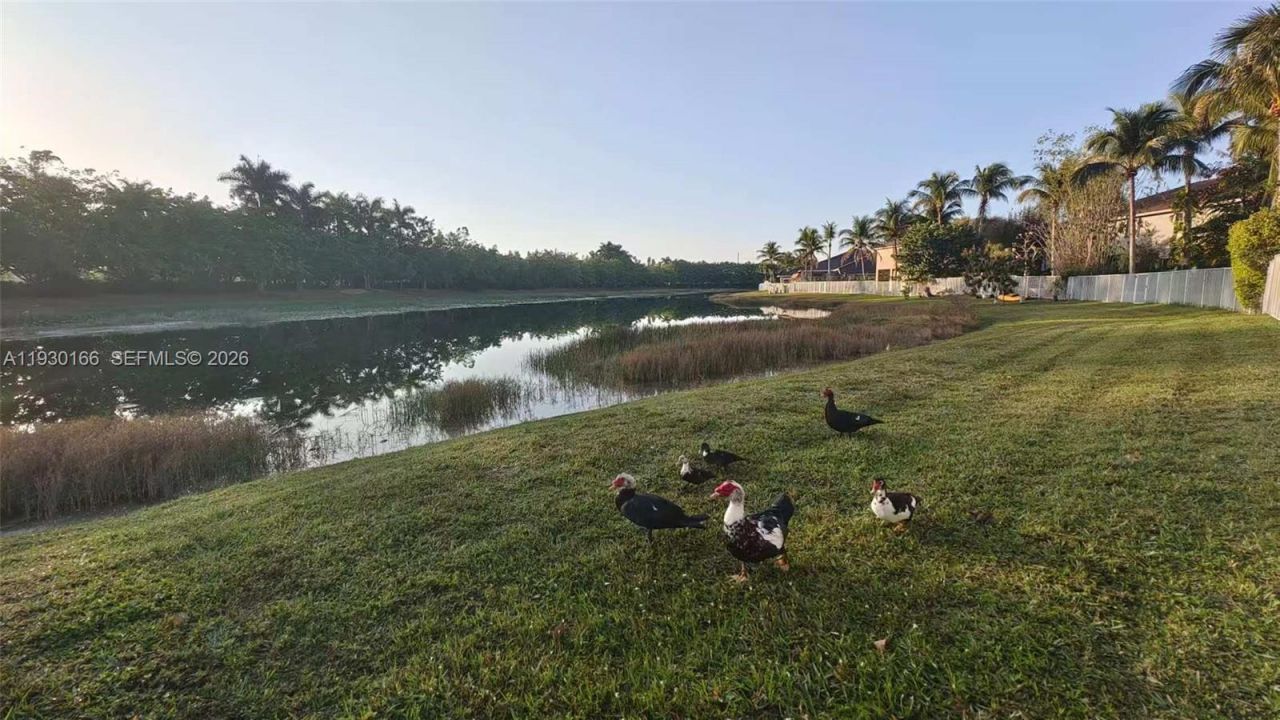 1035 Waterside Cir, Weston, FL 33327 Photo