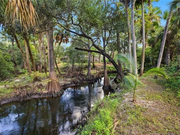 12025 Carpenter LN, BONITA SPRINGS, FL 34135