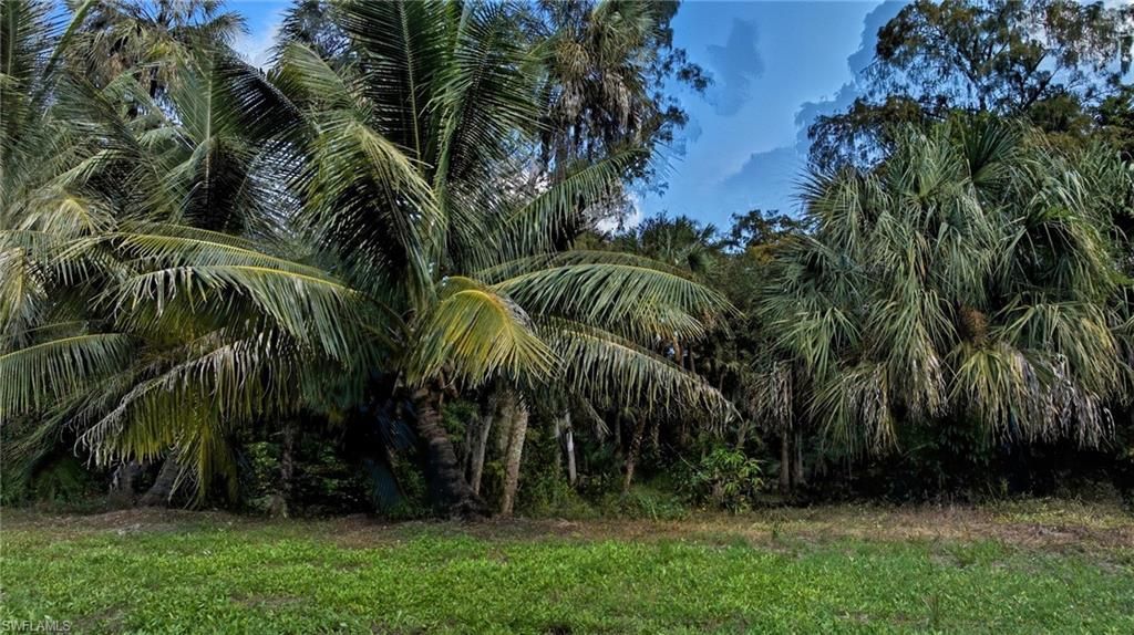 12025 Carpenter Ln, Bonita Springs, FL 34135 Photo