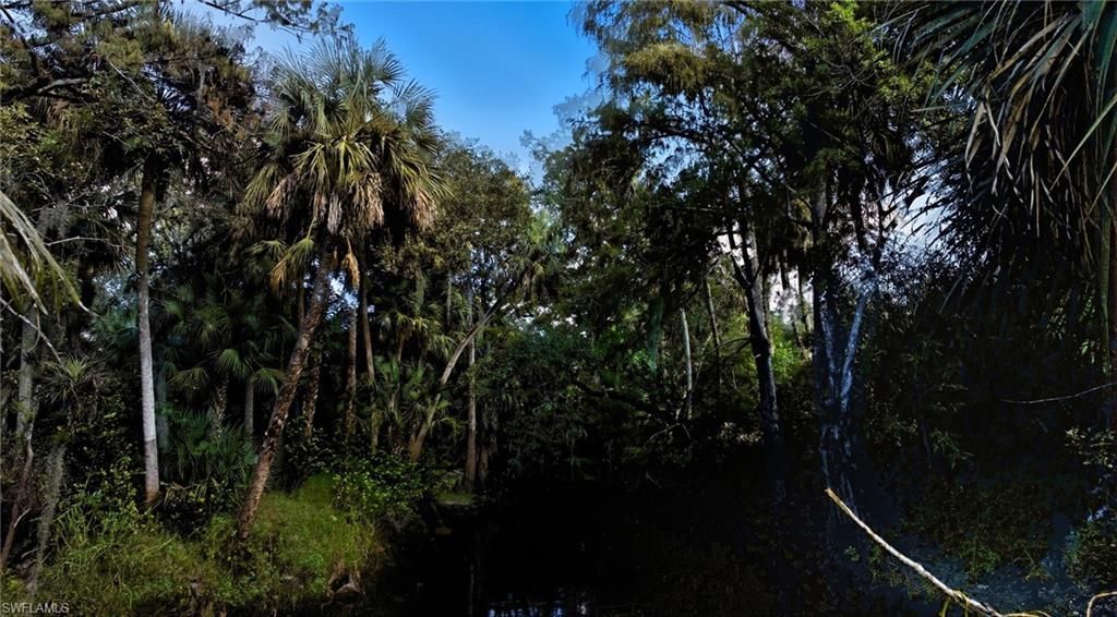 12025 Carpenter Ln, Bonita Springs, FL 34135 Photo