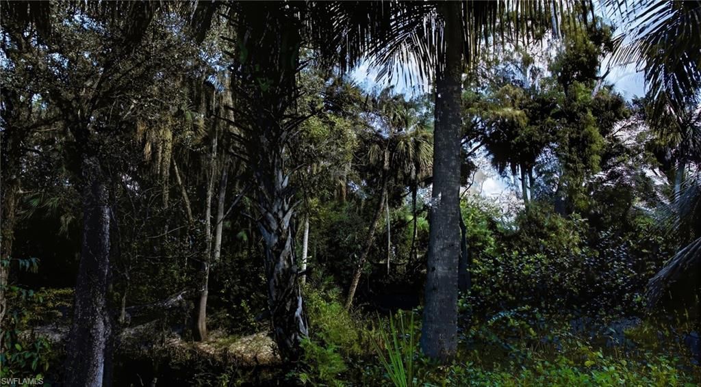 12025 Carpenter Ln, Bonita Springs, FL 34135 Photo