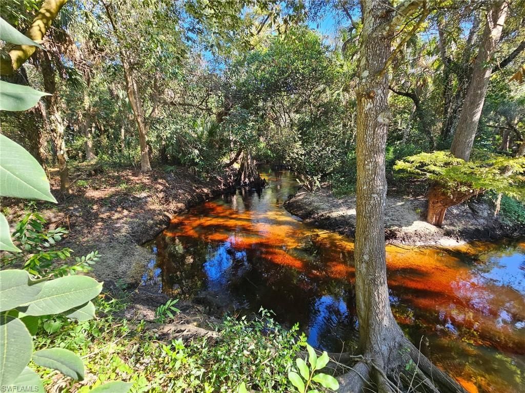 12025 Carpenter Ln, Bonita Springs, FL 34135 Photo