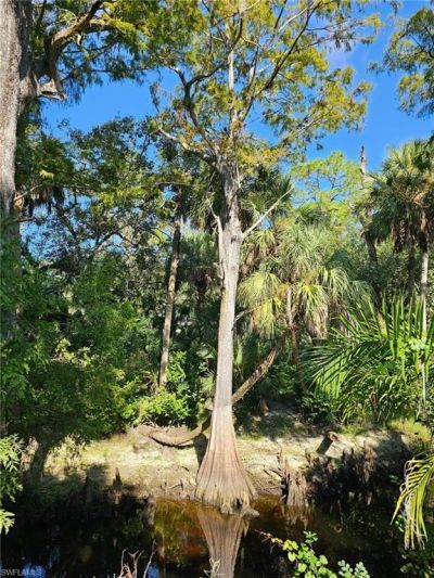 12025 Carpenter Ln, Bonita Springs, FL 34135 Photo