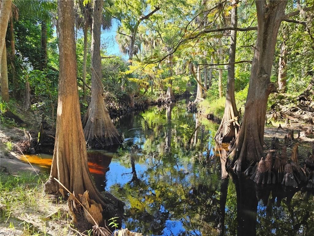 12025 Carpenter Ln, Bonita Springs, FL 34135 Photo