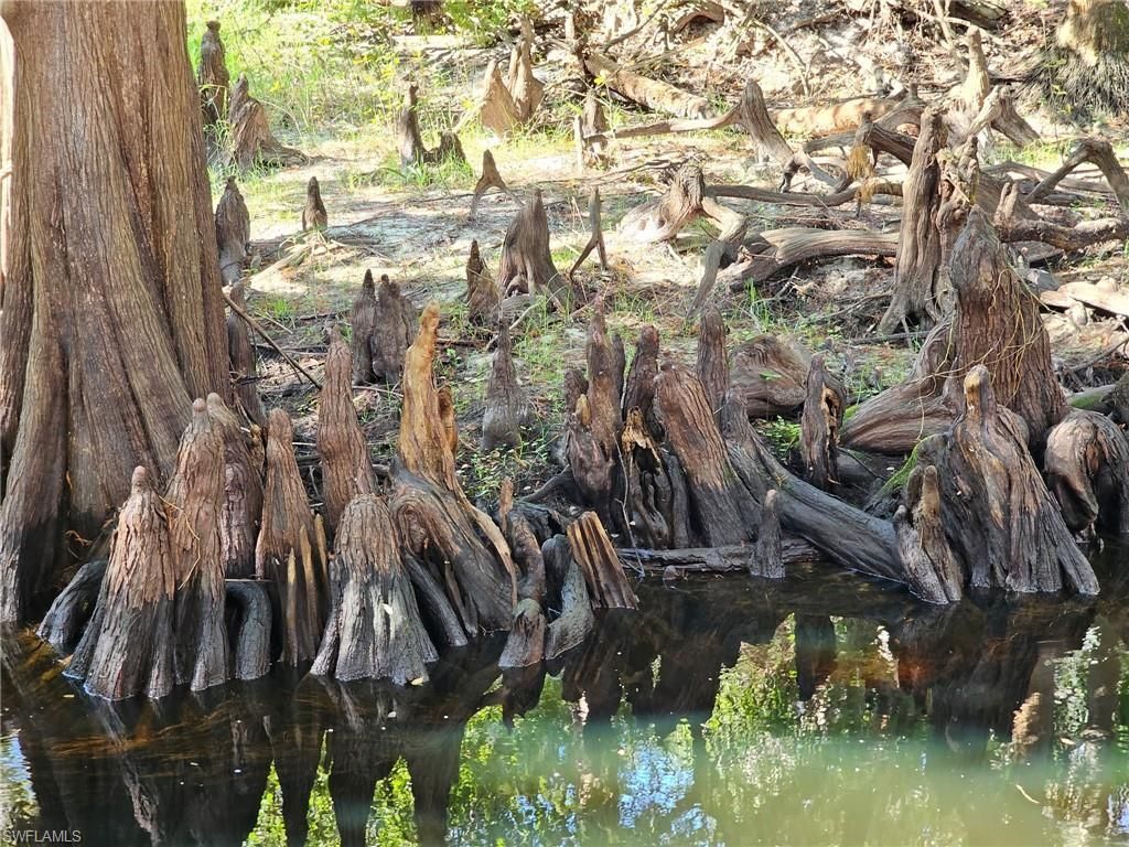 12025 Carpenter Ln, Bonita Springs, FL 34135 Photo