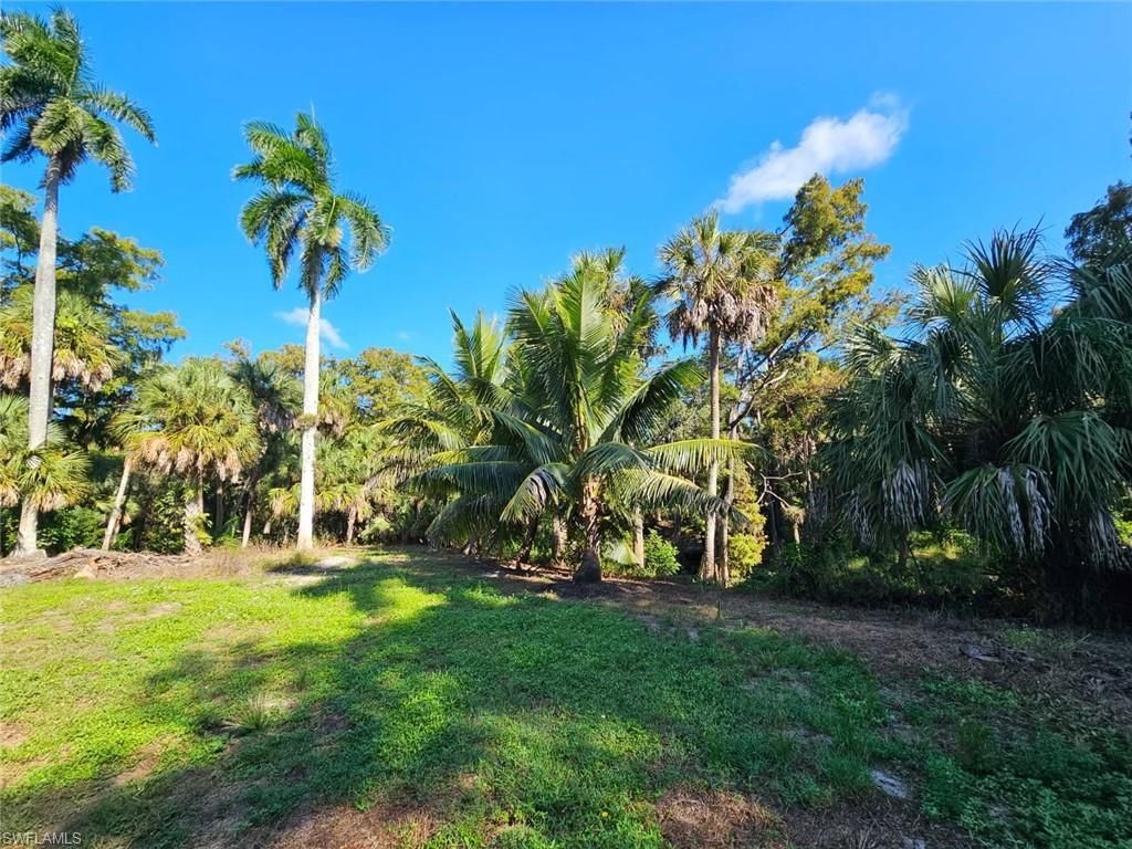 12025 Carpenter Ln, Bonita Springs, FL 34135 Photo