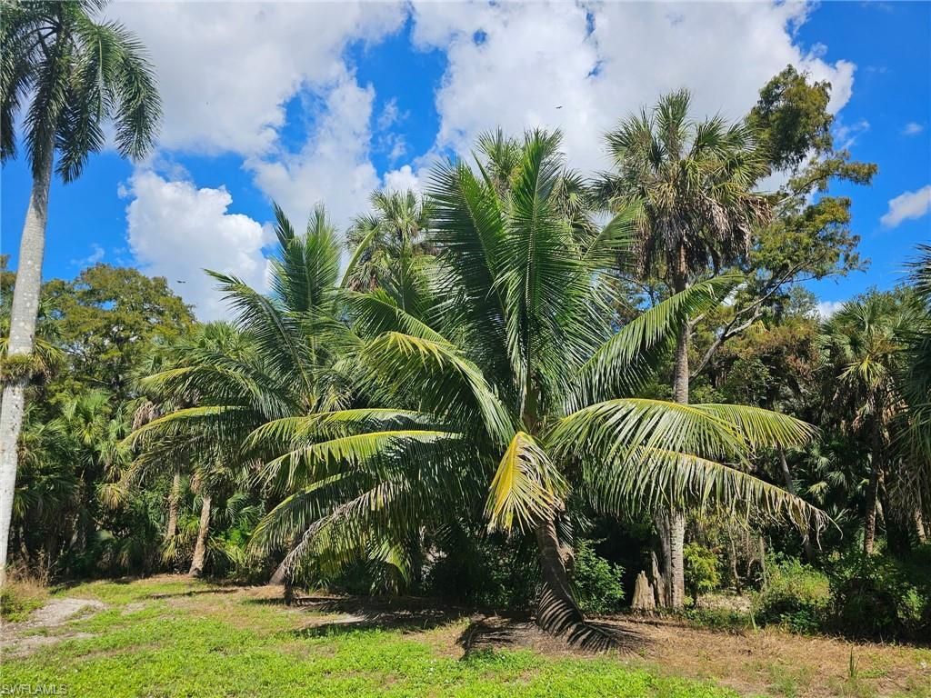 12025 Carpenter Ln, Bonita Springs, FL 34135 Photo