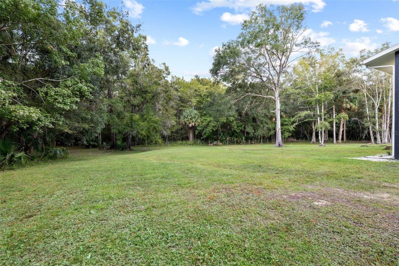11311 NE 40th Street Road, Silver Springs, FL 34488 Photo