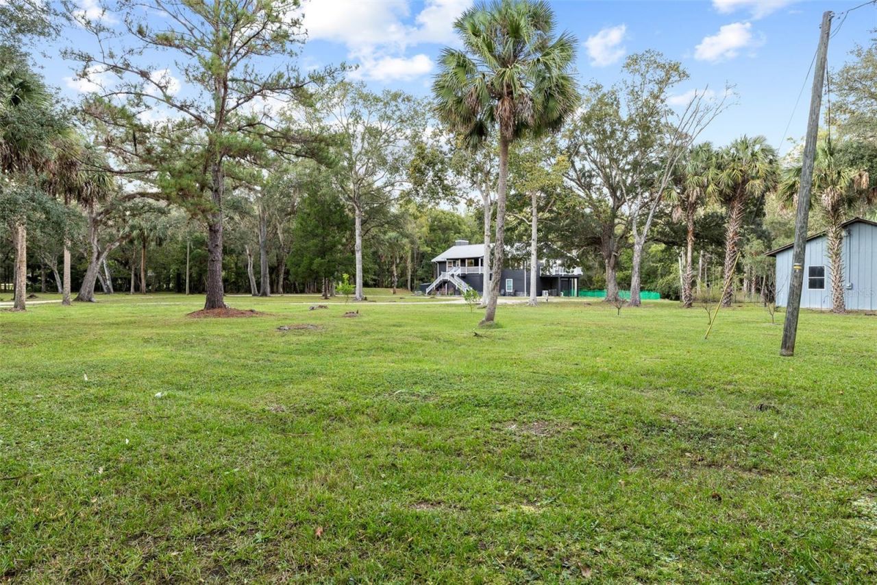11311 NE 40th Street Road, Silver Springs, FL 34488 Photo