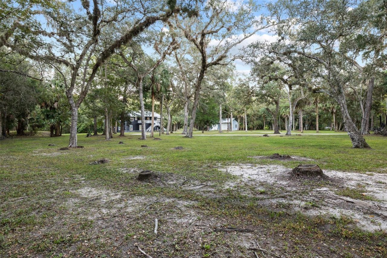 11311 NE 40th Street Road, Silver Springs, FL 34488 Photo