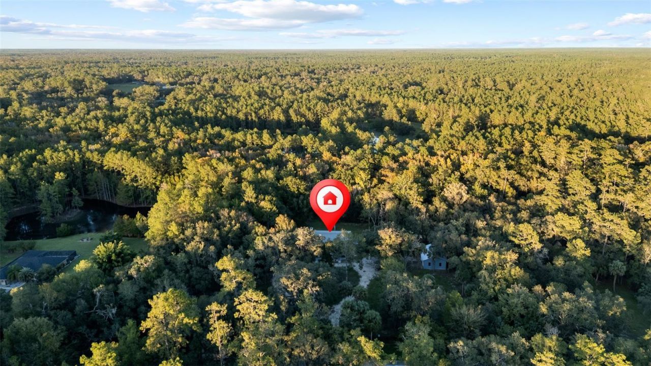 11311 NE 40th Street Road, Silver Springs, FL 34488 Photo