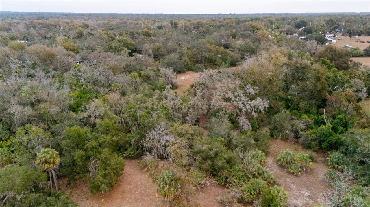 7813 Valrie Lane, Riverview, FL 33569 Photo