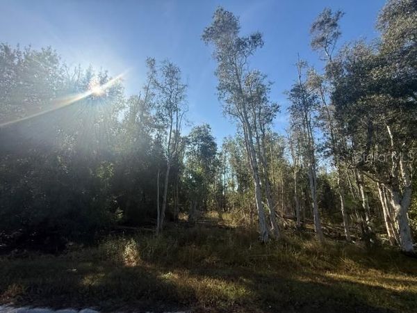 27335 LAS LOMAS DRIVE, PUNTA GORDA, FL 33955