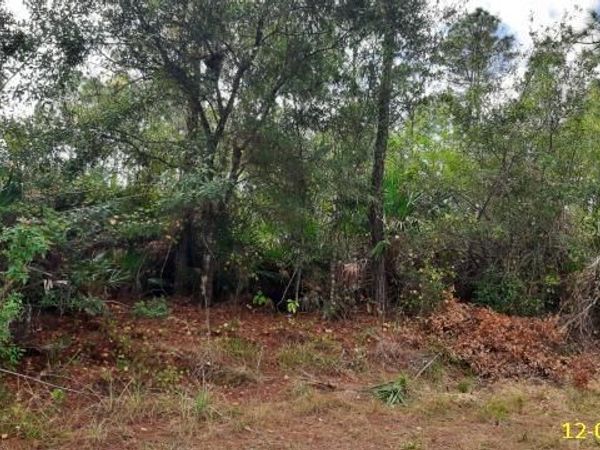 23475 MOSES COURT, PUNTA GORDA, FL 33980