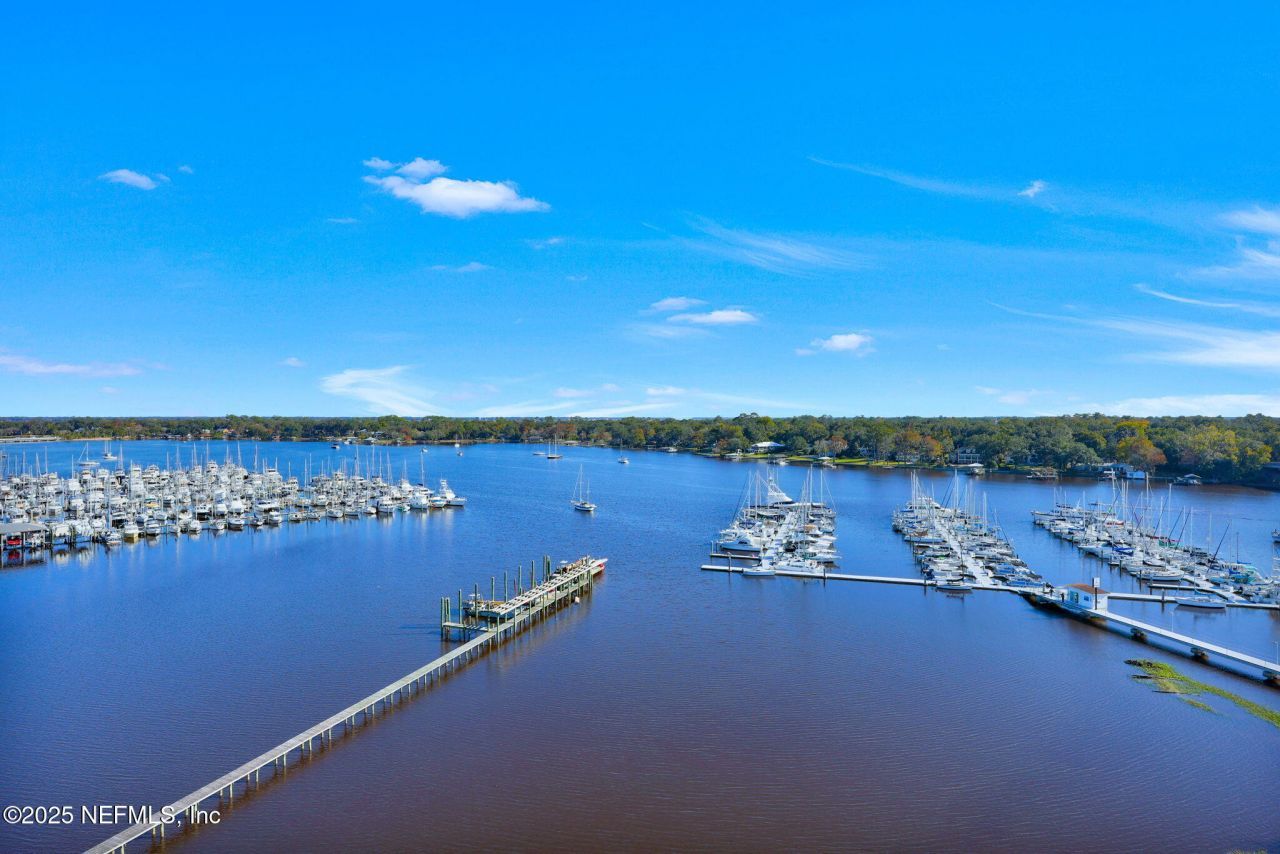 4401 Lakeside Drive, Unit 1204, Jacksonville, FL 32210 Photo