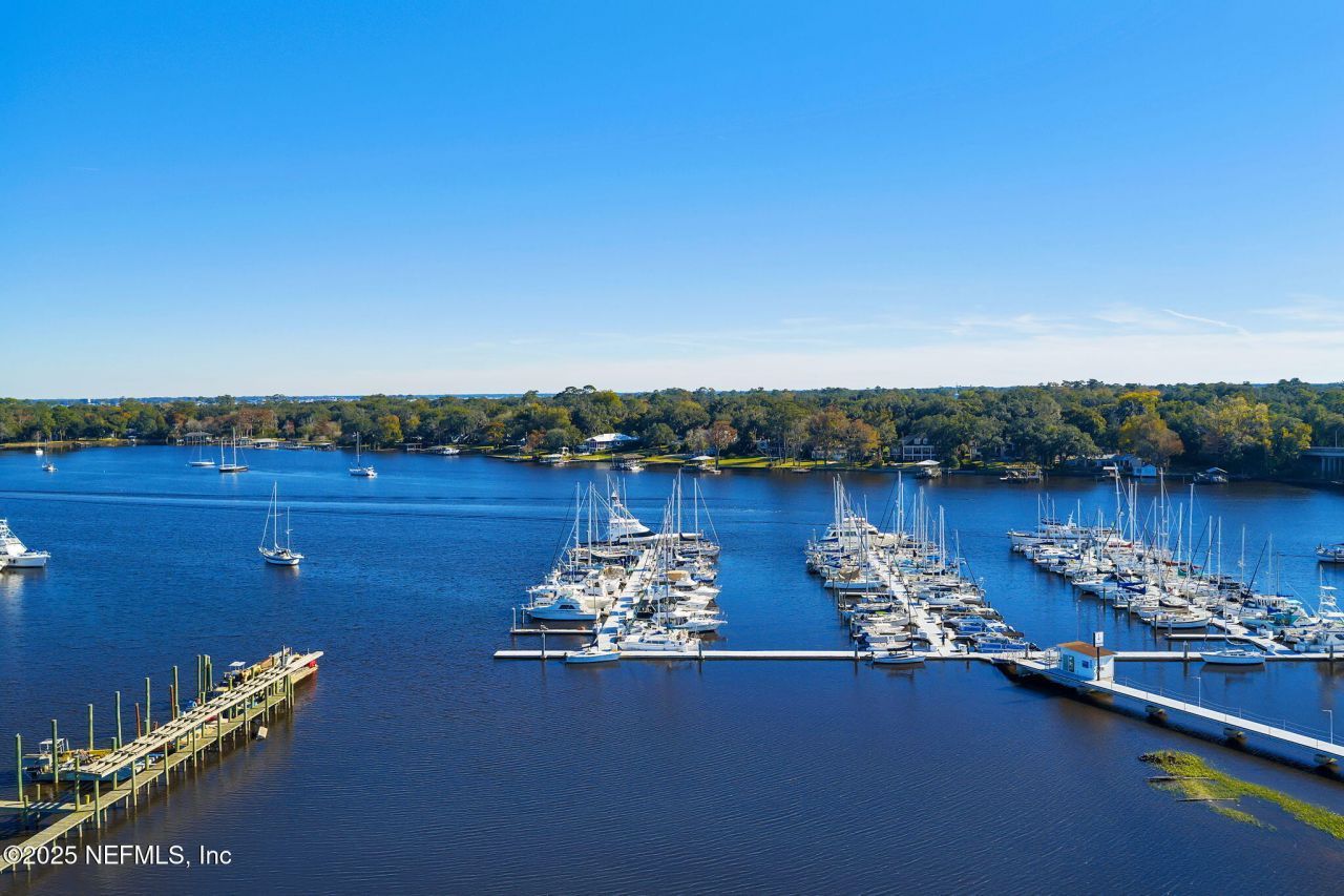 4401 Lakeside Drive, Unit 1204, Jacksonville, FL 32210 Photo