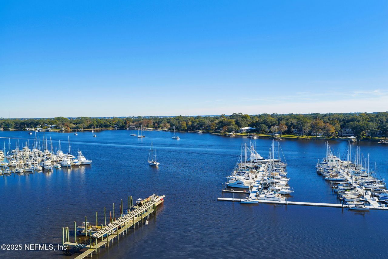 4401 Lakeside Drive, Unit 1204, Jacksonville, FL 32210 Photo