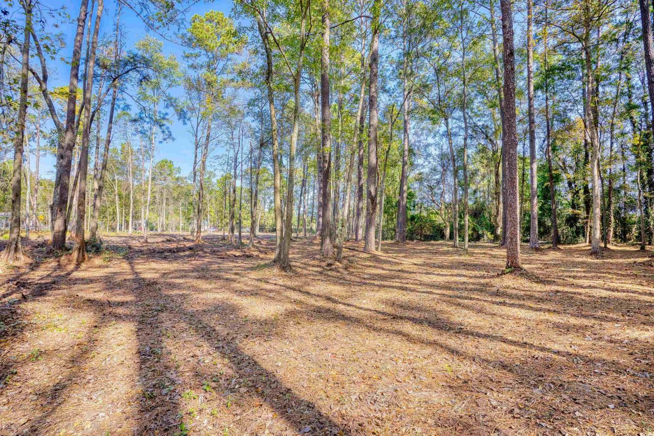 4250 Lilac Rd.  Photo 10