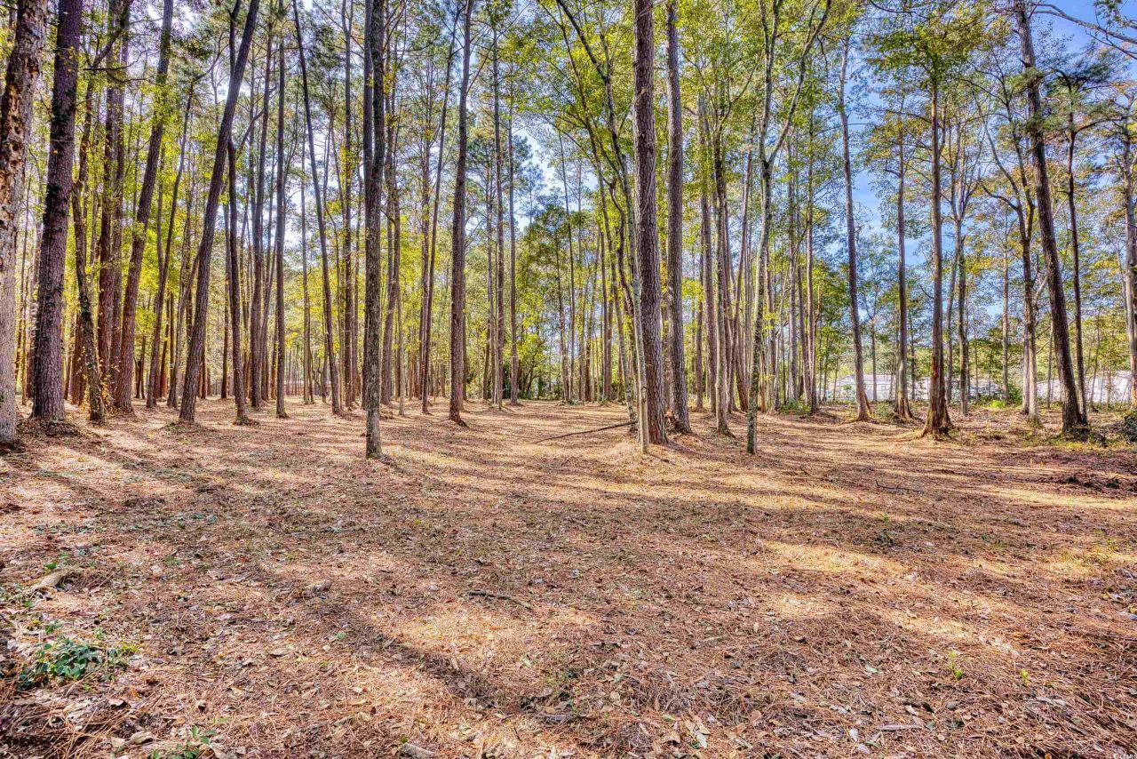 4250 Lilac Rd.  Photo 11