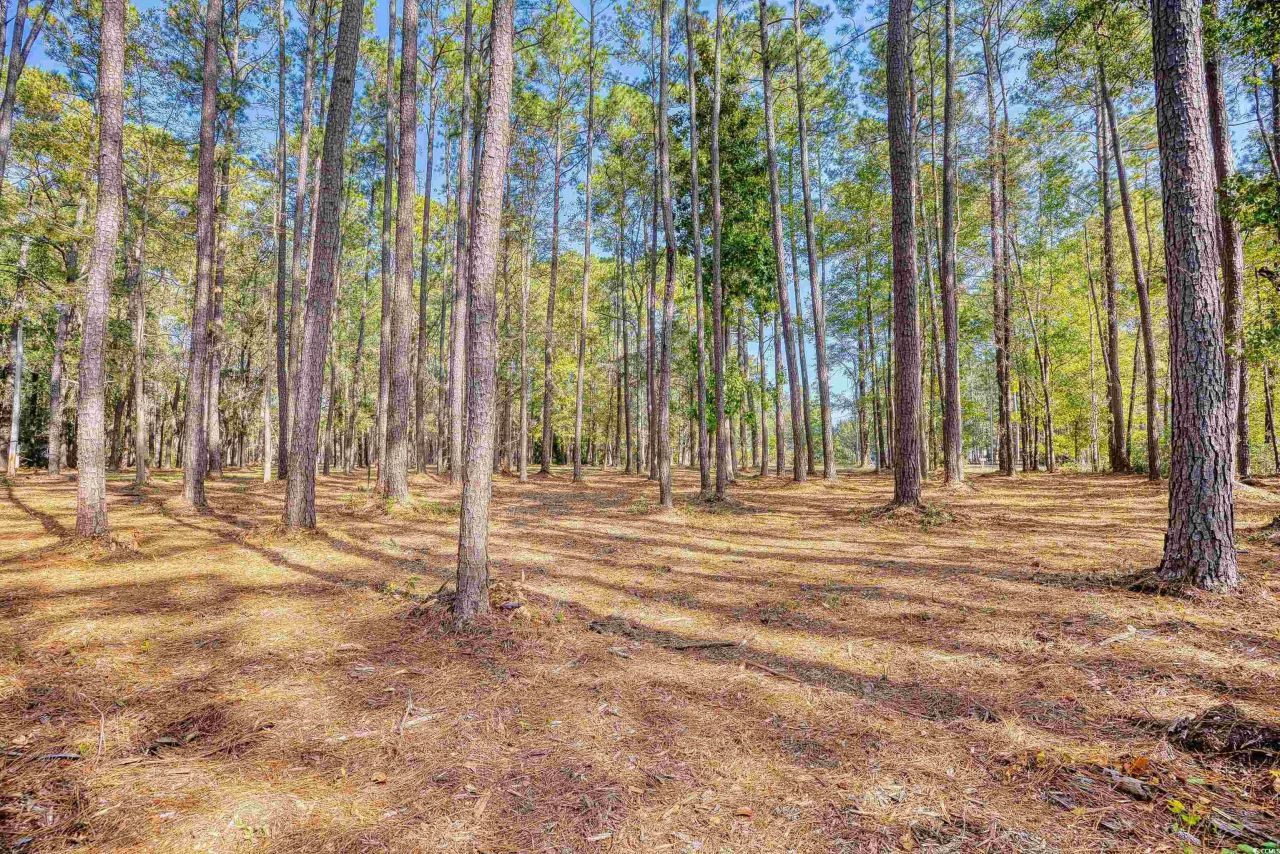 4250 Lilac Rd.  Photo 14