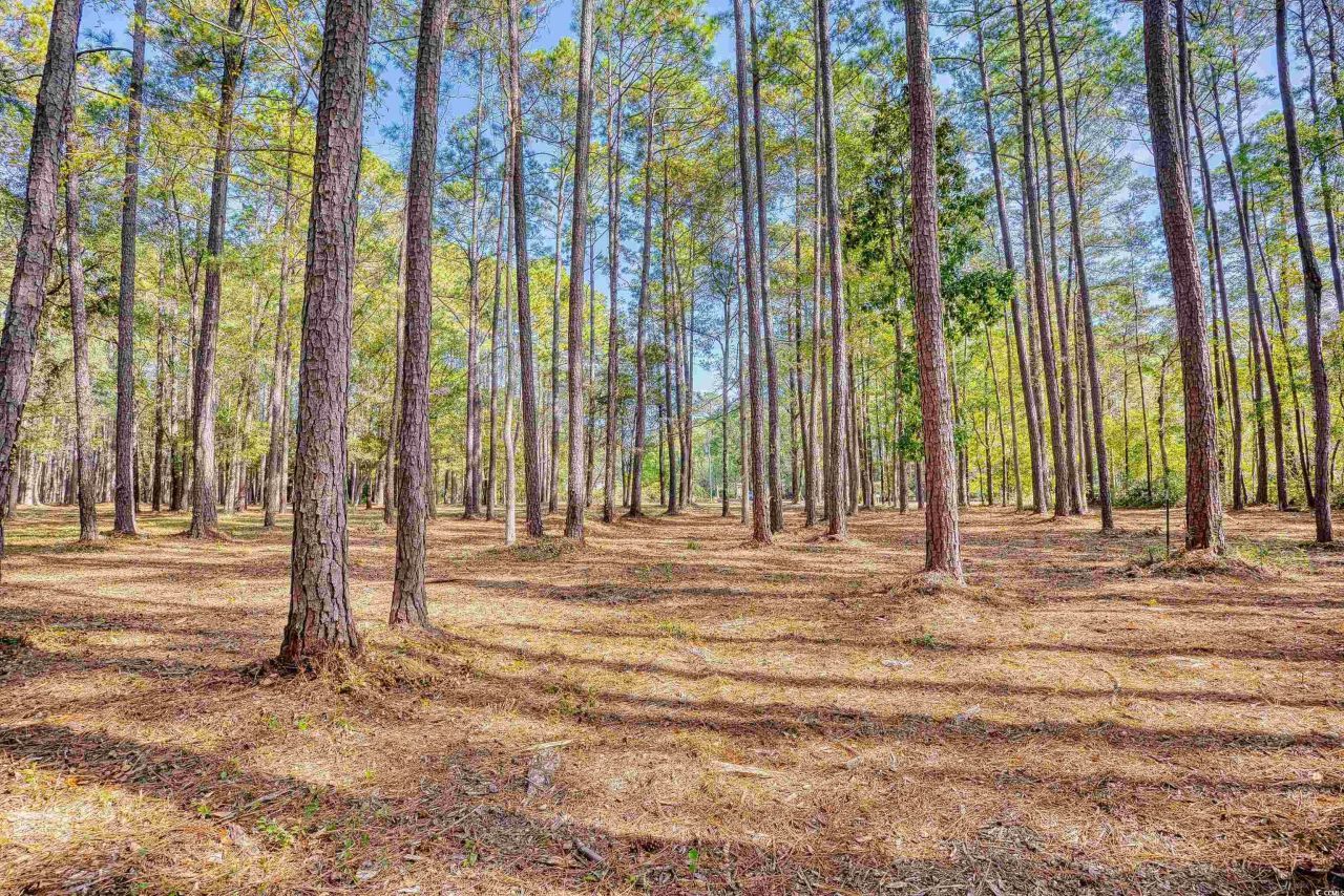 4250 Lilac Rd.  Photo 15