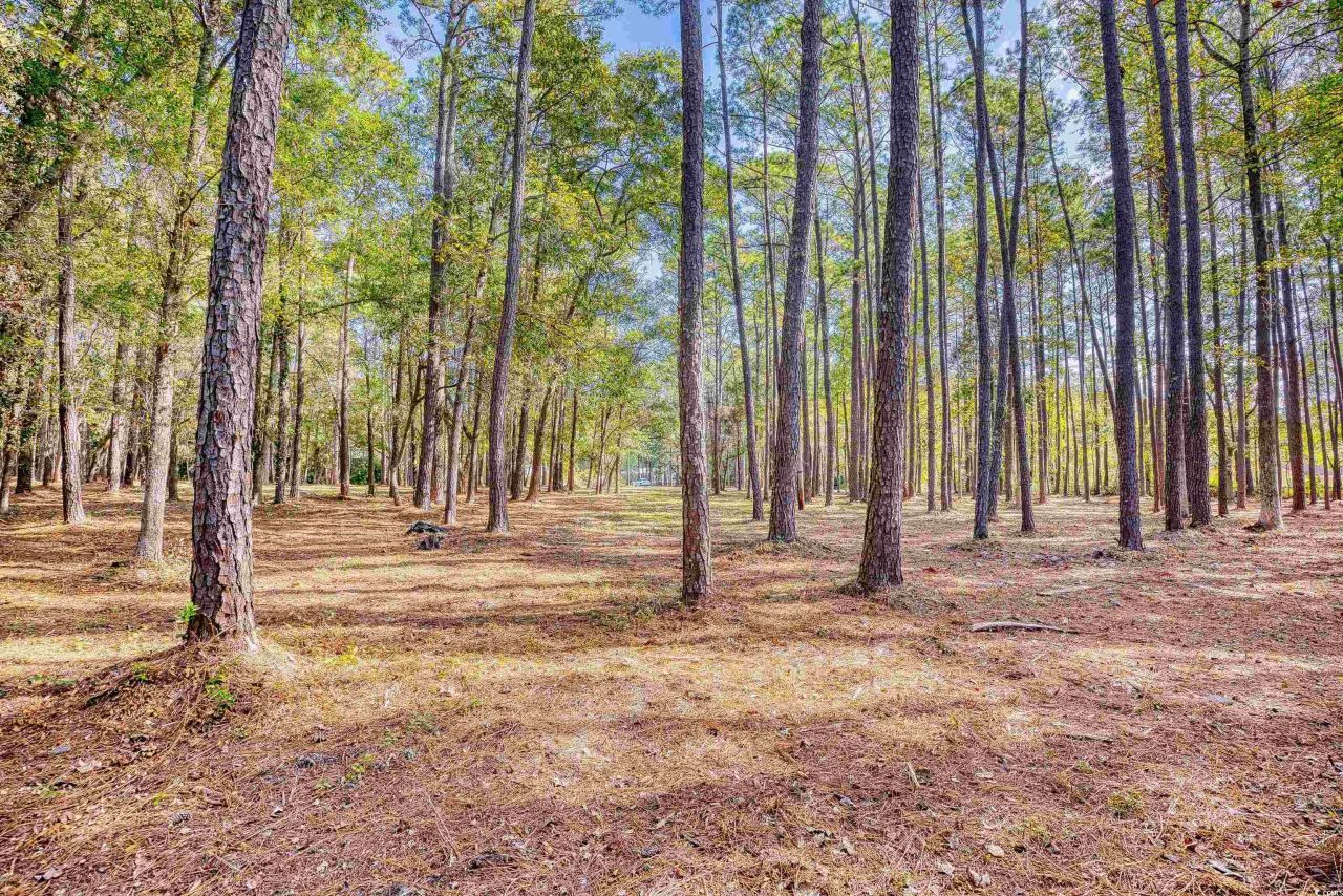 4250 Lilac Rd.  Photo 16