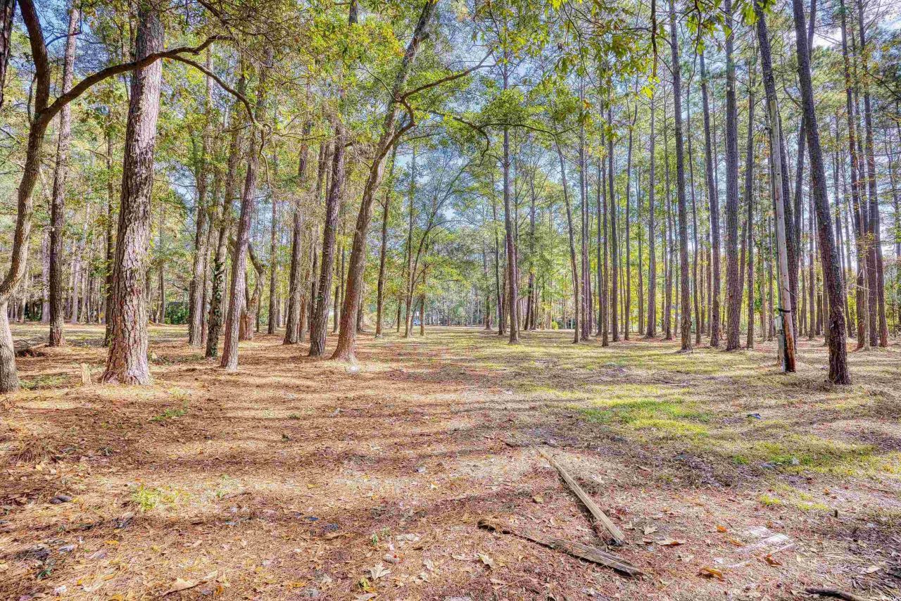 4250 Lilac Rd.  Photo 18