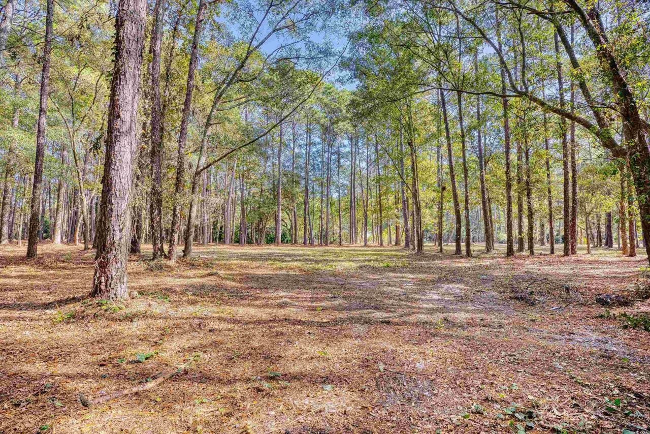 4250 Lilac Rd.  Photo 20