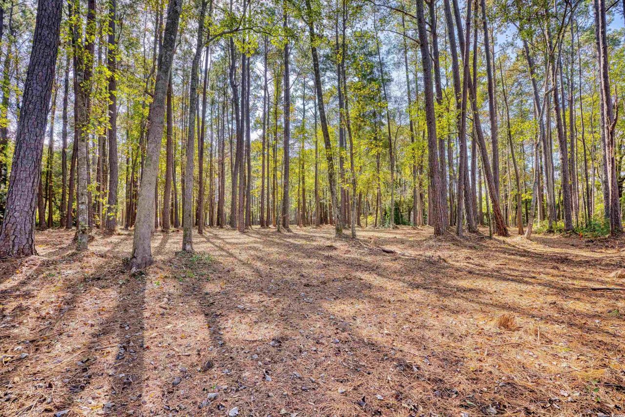 4250 Lilac Rd.  Photo 23