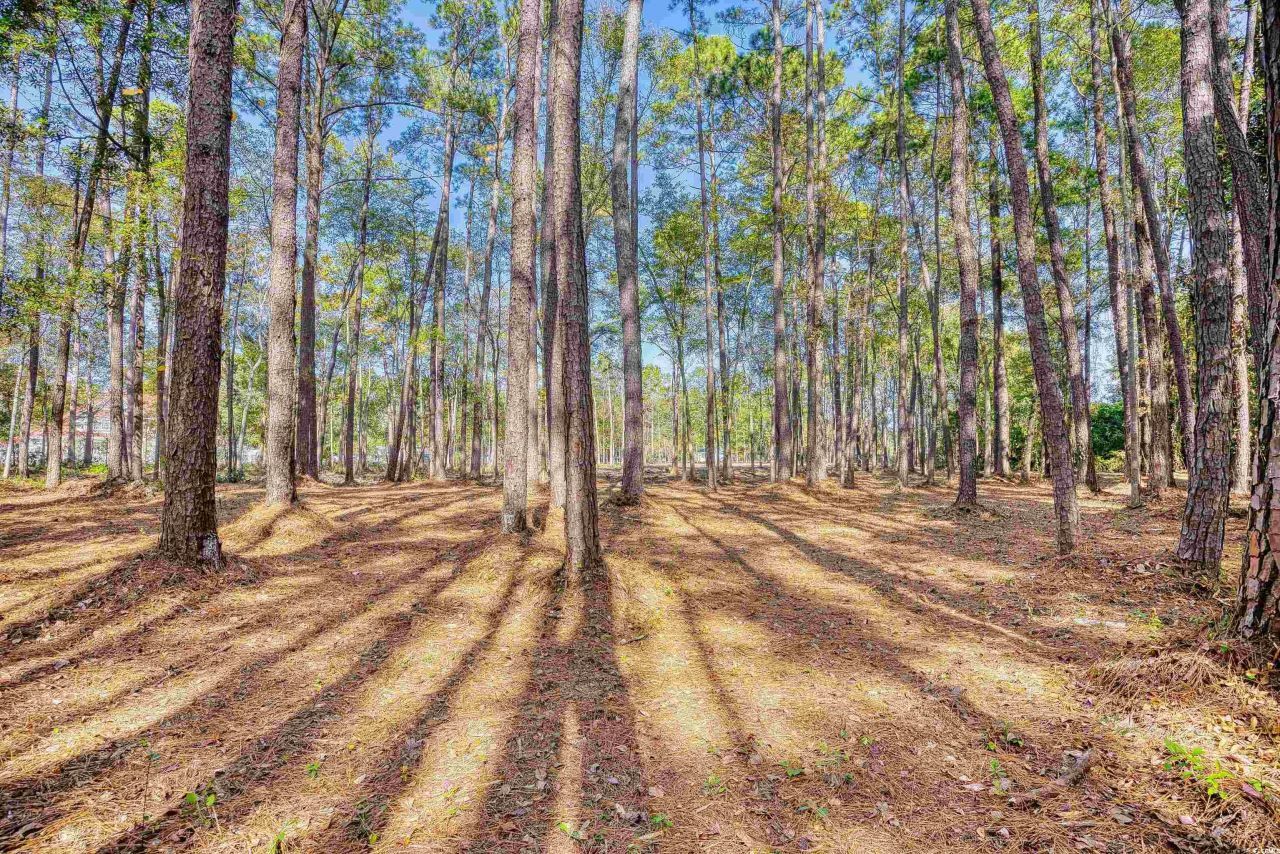 4250 Lilac Rd.  Photo 24