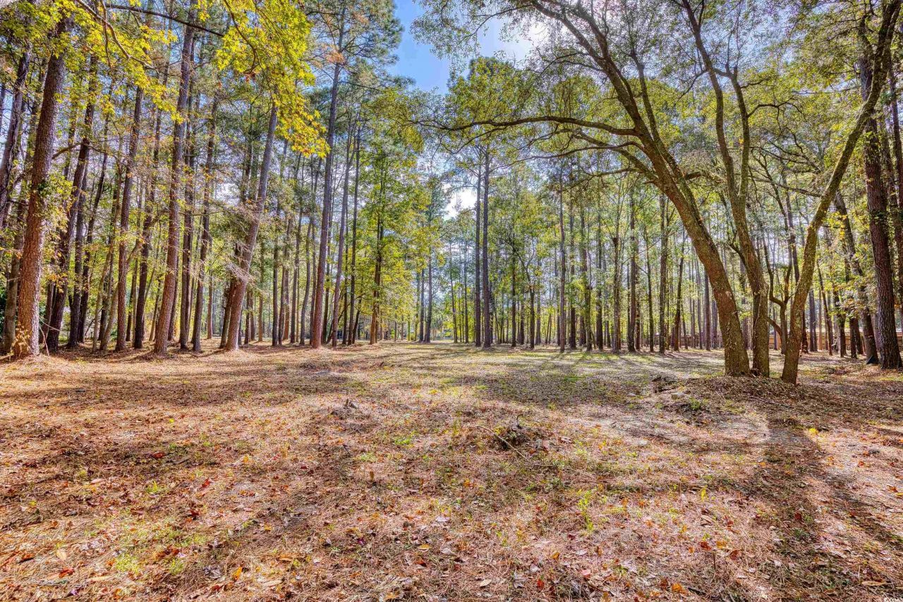 4250 Lilac Rd.  Photo 25