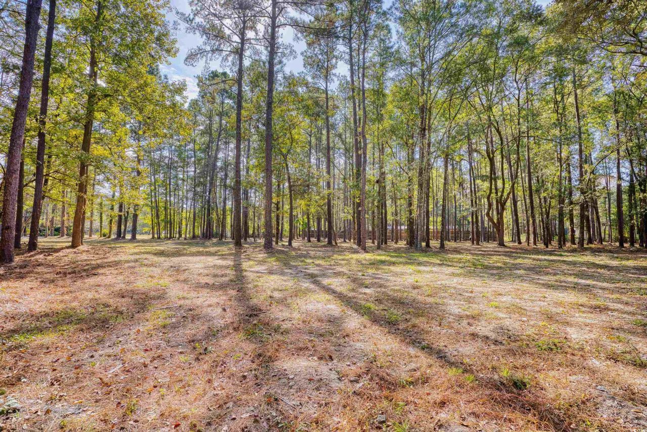 4250 Lilac Rd.  Photo 26