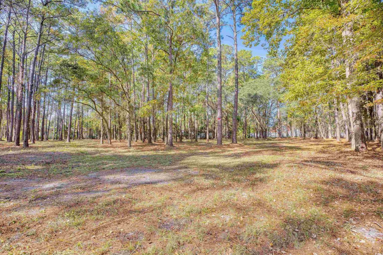 4250 Lilac Rd.  Photo 28