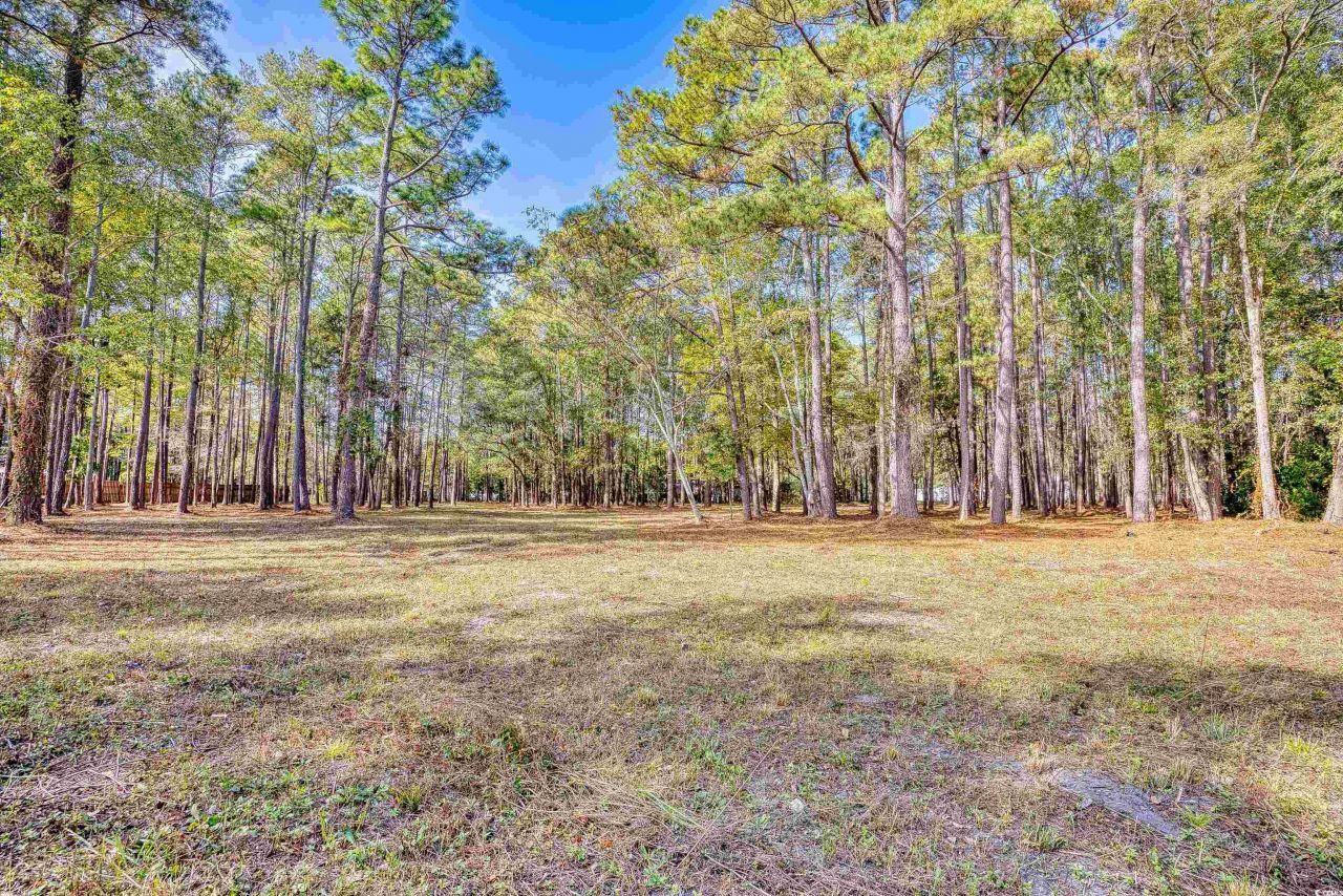 4250 Lilac Rd.  Photo 29