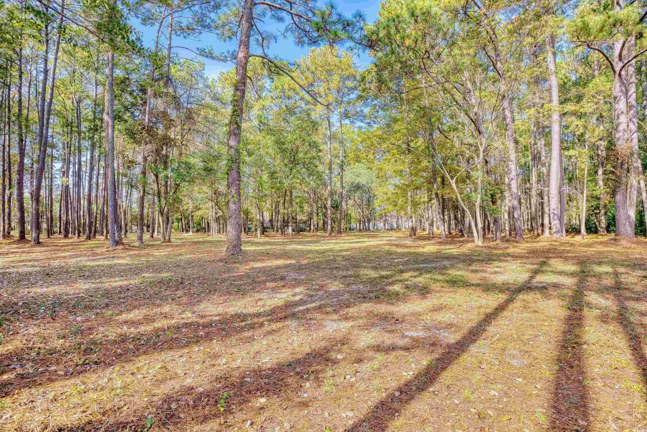 4250 Lilac Rd.  Photo 30