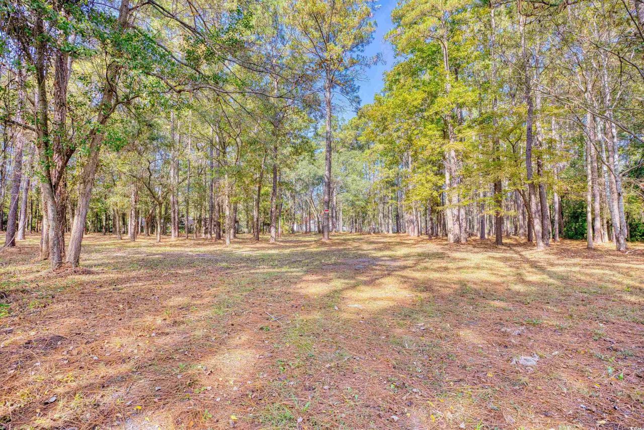 4250 Lilac Rd.  Photo 31