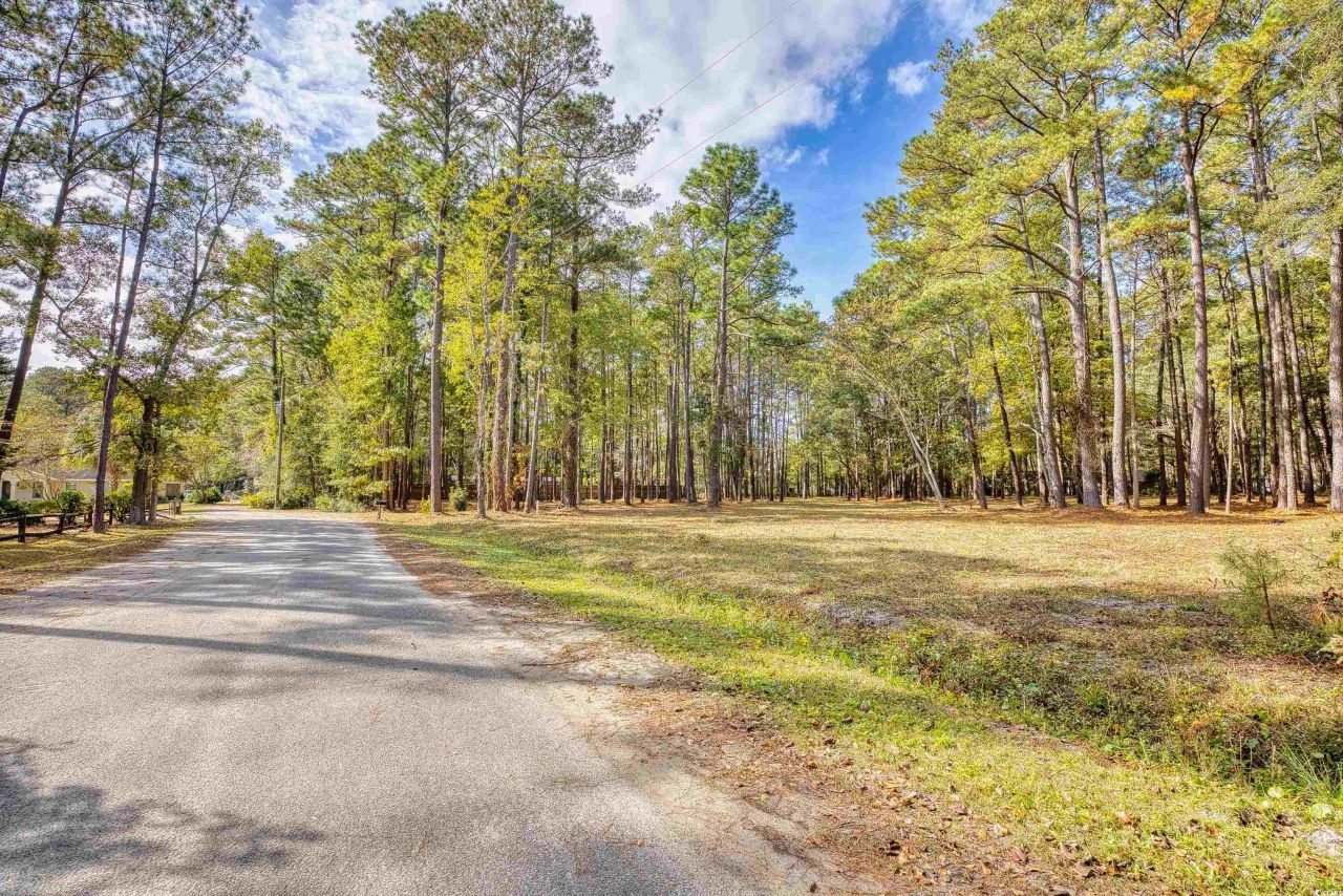 4250 Lilac Rd.  Photo 35