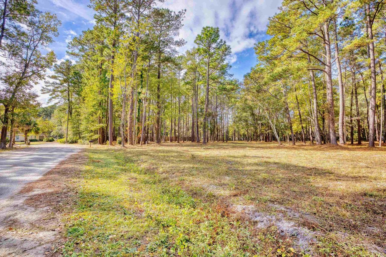 4250 Lilac Rd.  Photo 36