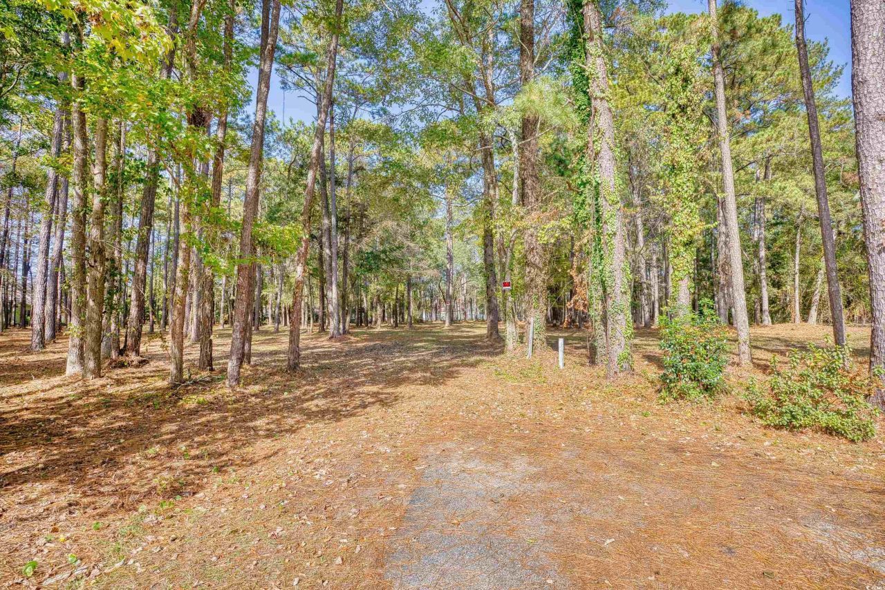 4250 Lilac Rd.  Photo 5