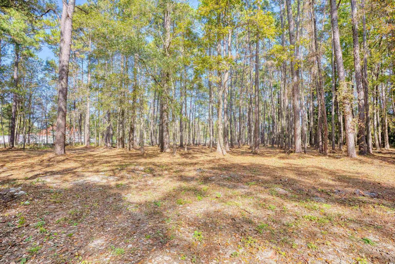 4250 Lilac Rd.  Photo 8