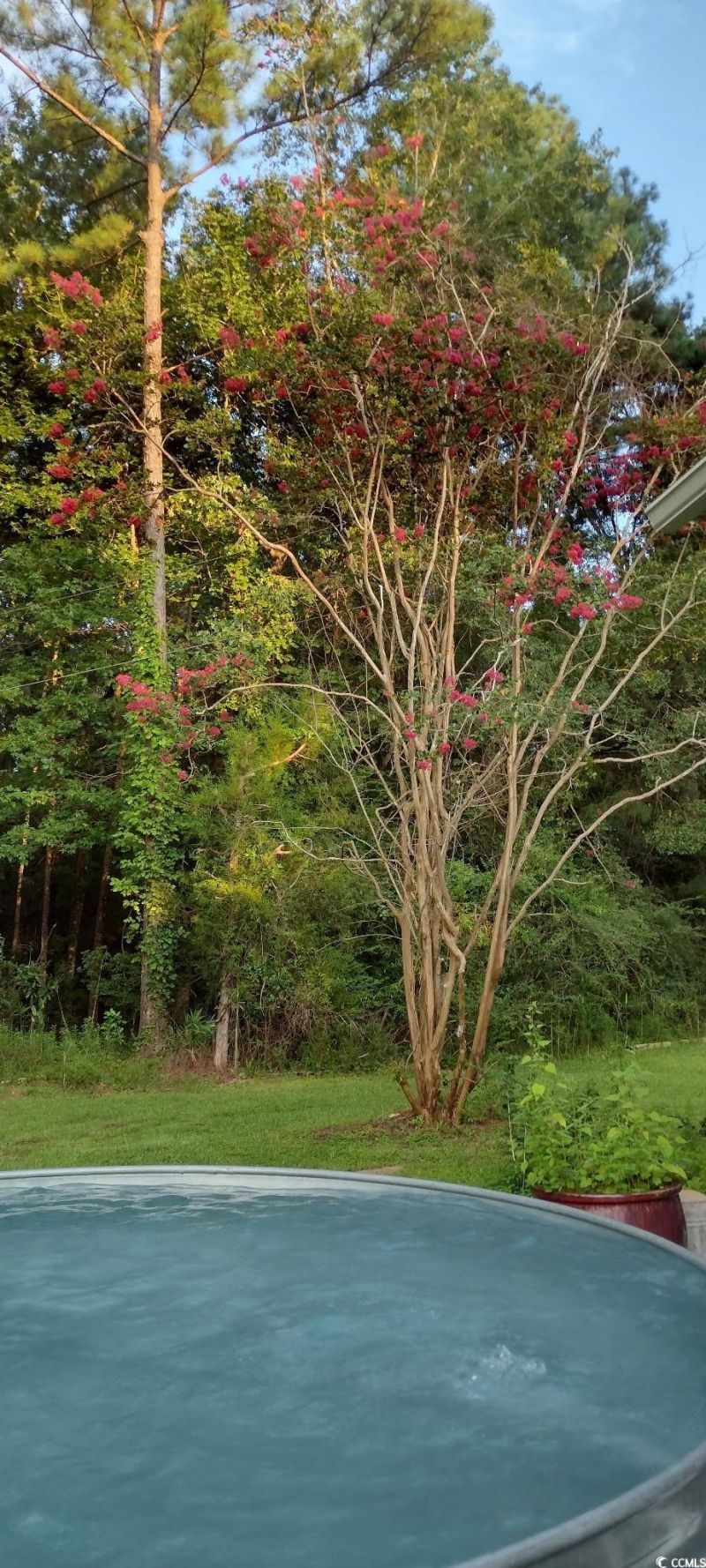 1875 French Santee Rd Photo 17