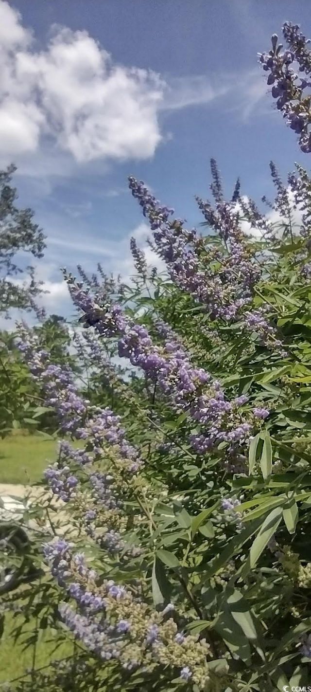 1875 French Santee Rd Photo 18