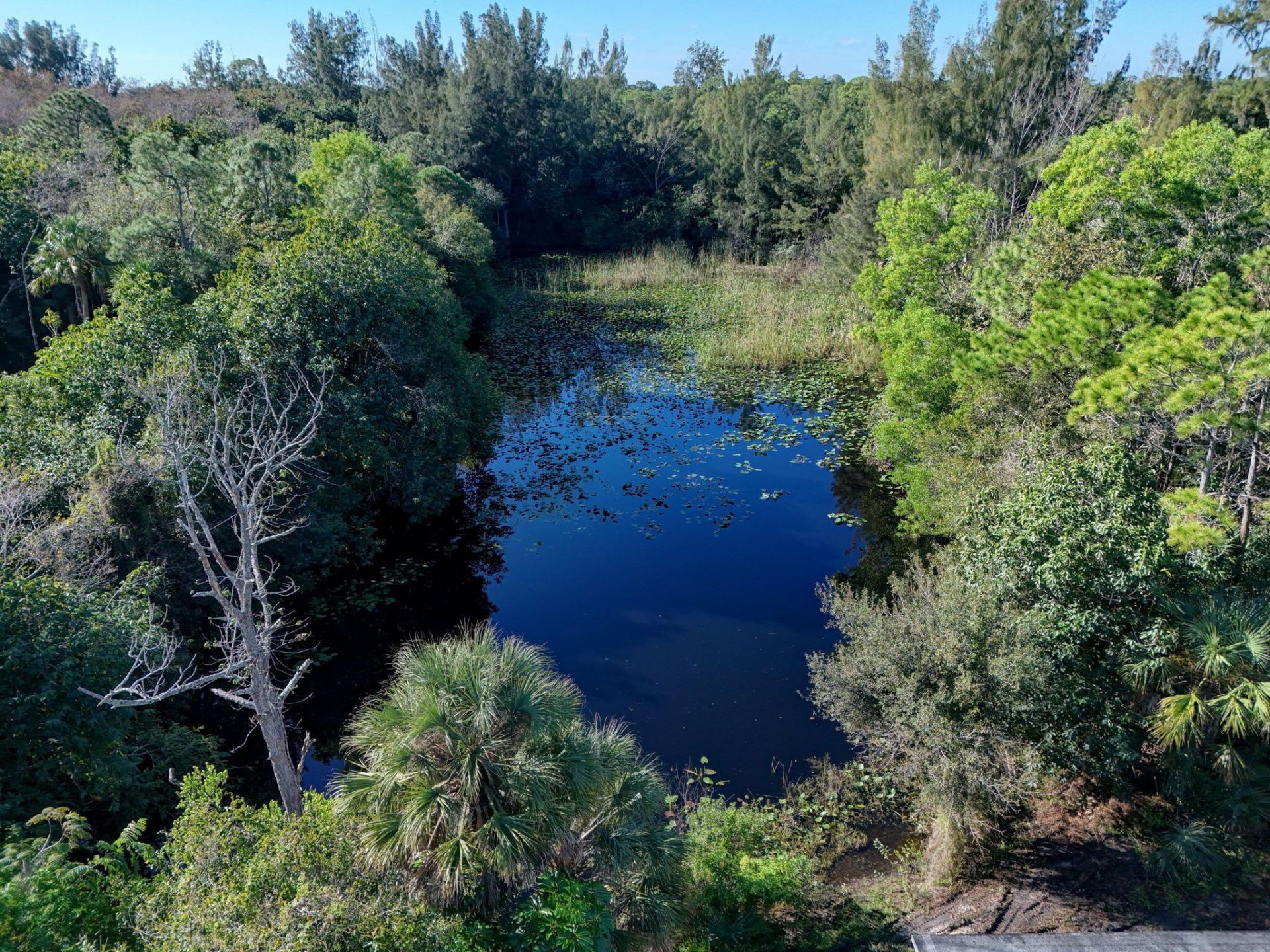 9620 171st Street N, Jupiter, FL 33478 Photo