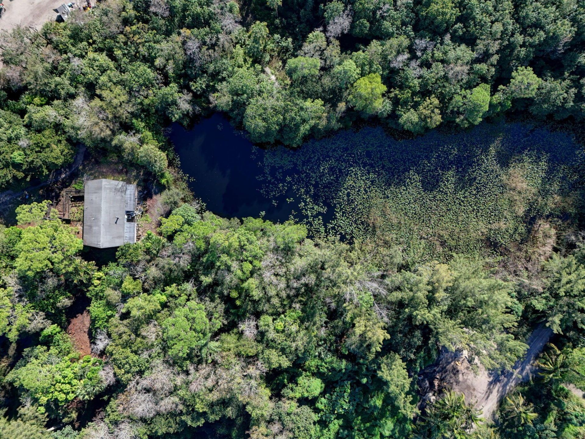 9620 171st Street N, Jupiter, FL 33478 Photo