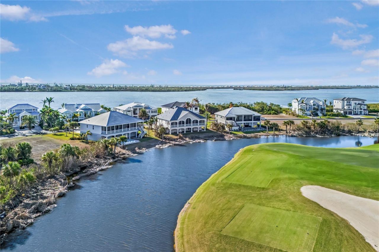 10030 Eagle Preserve Drive, Englewood, FL 34224 Photo