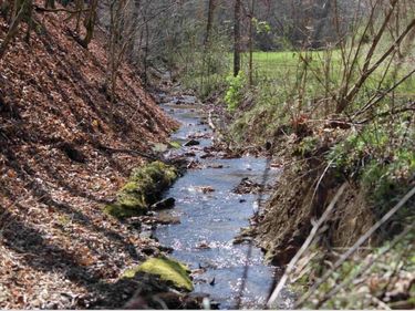 470 Little Bull Creek Road, Woollum, KY 40906