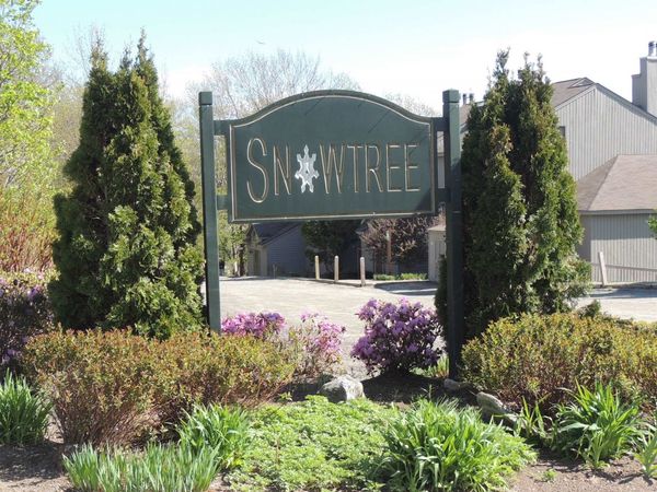 13 Snowtree Lane, Unit Willows K, Dover, VT 05356